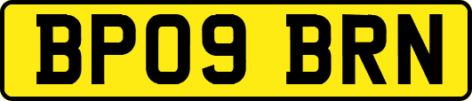 BP09BRN