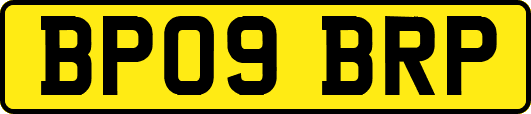 BP09BRP