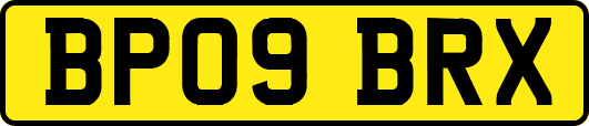 BP09BRX
