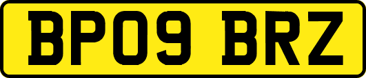 BP09BRZ