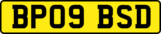 BP09BSD