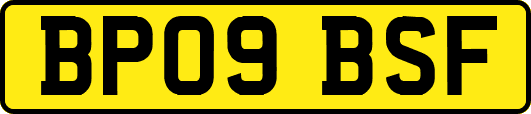 BP09BSF