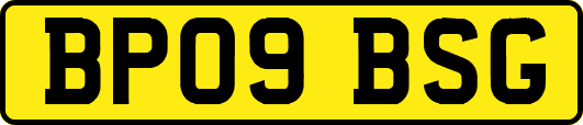 BP09BSG