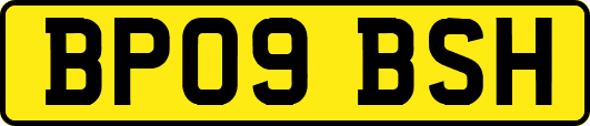 BP09BSH