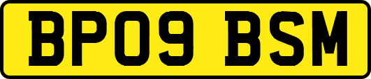 BP09BSM