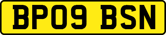 BP09BSN