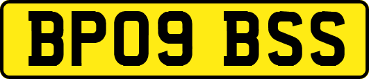 BP09BSS