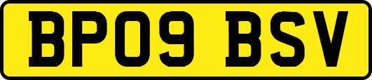 BP09BSV