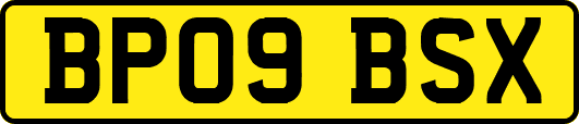 BP09BSX