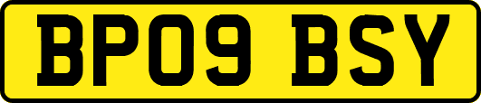 BP09BSY