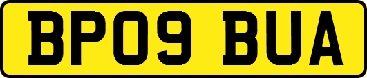 BP09BUA