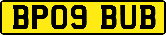 BP09BUB