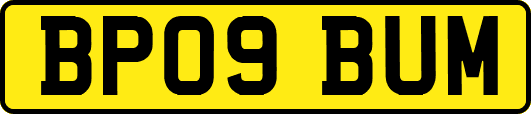 BP09BUM