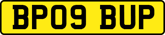 BP09BUP
