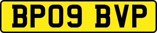 BP09BVP