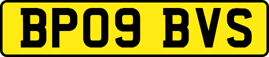 BP09BVS