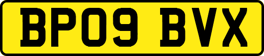 BP09BVX