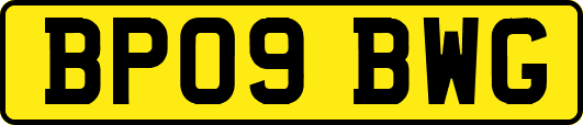 BP09BWG