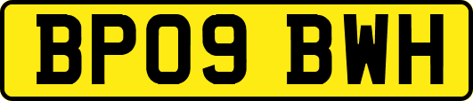 BP09BWH