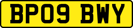BP09BWY