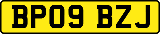 BP09BZJ