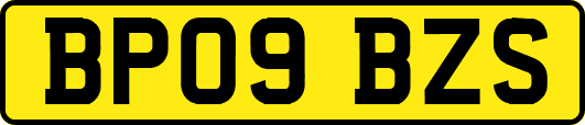 BP09BZS