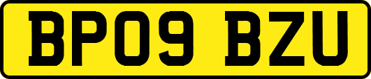 BP09BZU