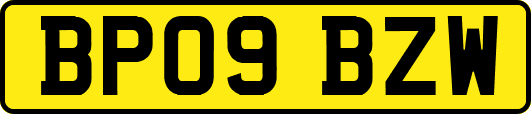 BP09BZW