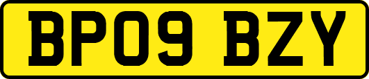 BP09BZY