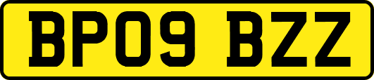 BP09BZZ
