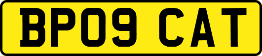 BP09CAT