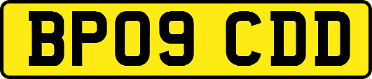 BP09CDD