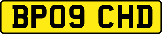 BP09CHD