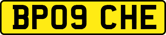 BP09CHE