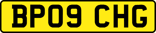 BP09CHG