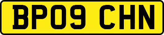 BP09CHN