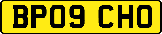 BP09CHO