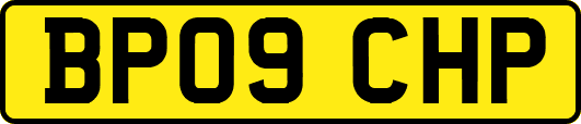 BP09CHP
