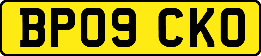 BP09CKO