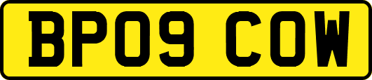 BP09COW