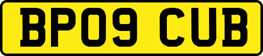 BP09CUB