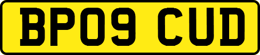 BP09CUD