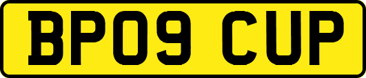 BP09CUP