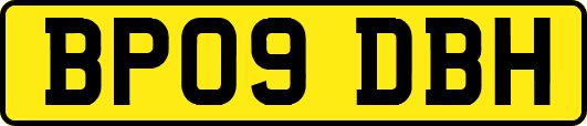 BP09DBH