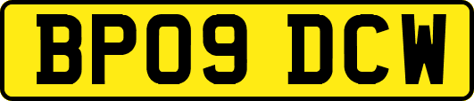 BP09DCW