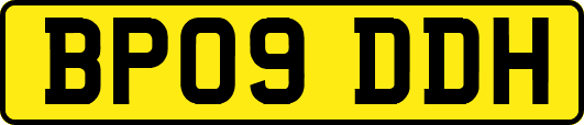 BP09DDH