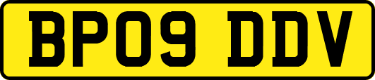 BP09DDV