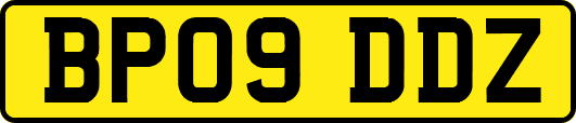 BP09DDZ