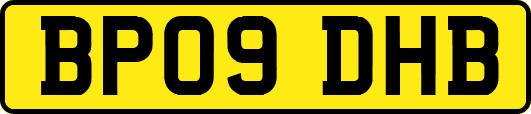 BP09DHB
