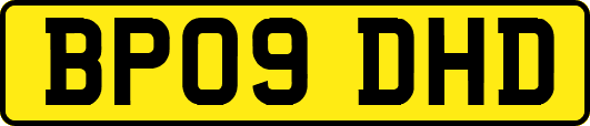 BP09DHD